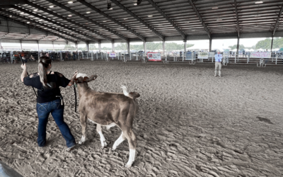 Behind the Scenes: The Tomahawk Ribeye Eating Contest Boosting Local Ranchers