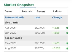 cattle markets