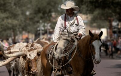 Barriers to Entry: Tariffs, US Cattlemen, and Beef Maps