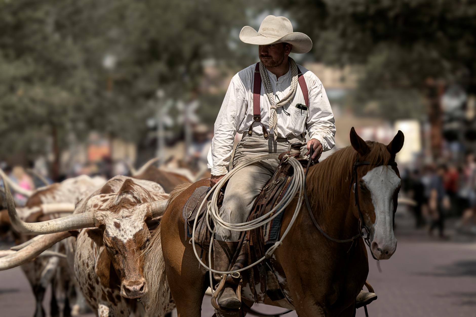 cowboy riding a horse