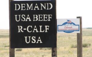 R-CALF MCOOL