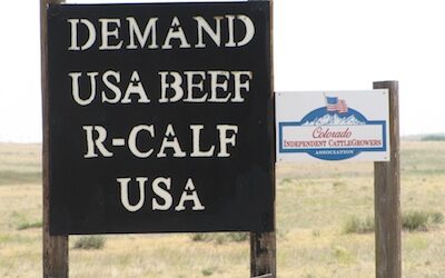 Where’s the Beef From? D.C. Might Finally Tell You
