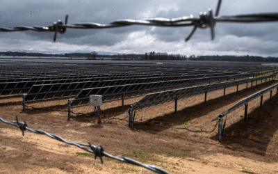 “It’s Doggone Depressing”: Solar Panels Swallow America’s Farmland