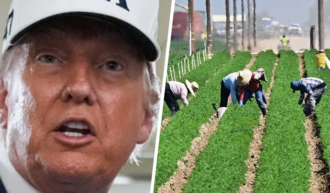 Hold the Lettuce, Bring the Raids: Trump Reinstates Immigration Policy on Farms, Hotels, and Meat Plants