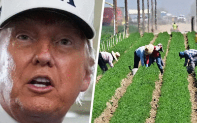 Hold the Lettuce, Bring the Raids: Trump Reinstates Immigration Policy on Farms, Hotels, and Meat Plants
