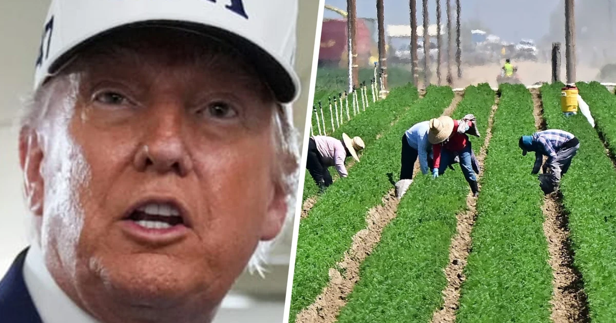 ICE returns to the Farm