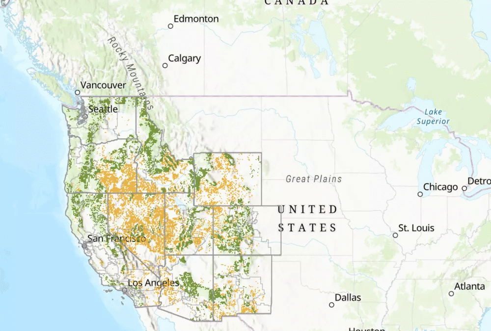 The Illusion of Surplus: What the Senate’s Land Sale Bill Really Does
