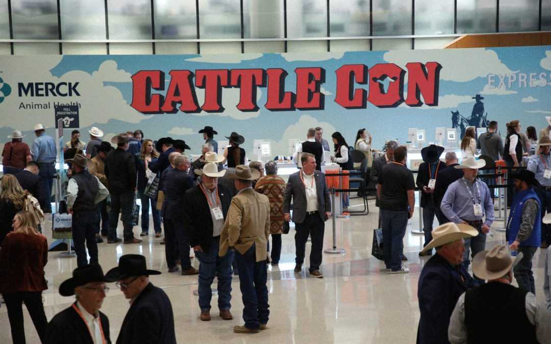 “Sell a Cow, Fund the Enemy”: Welcome to the Beef Checkoff