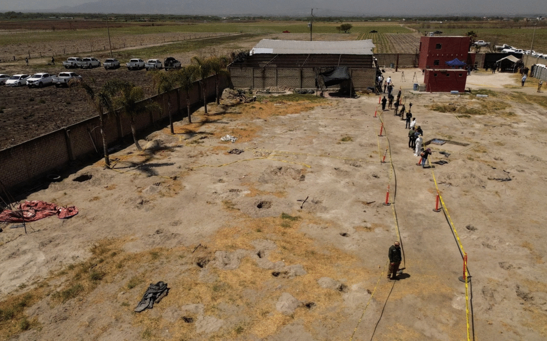Labeled Legal, Raised by Narcos — What the USDA Won’t Tell You About Imported Cattle