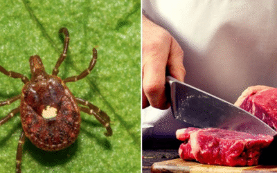 They Want You Allergic to Meat—And They’re Not Joking