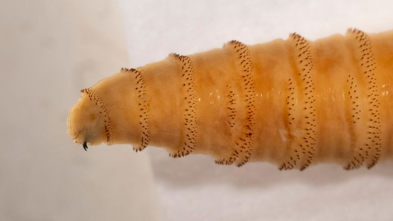 image 15
