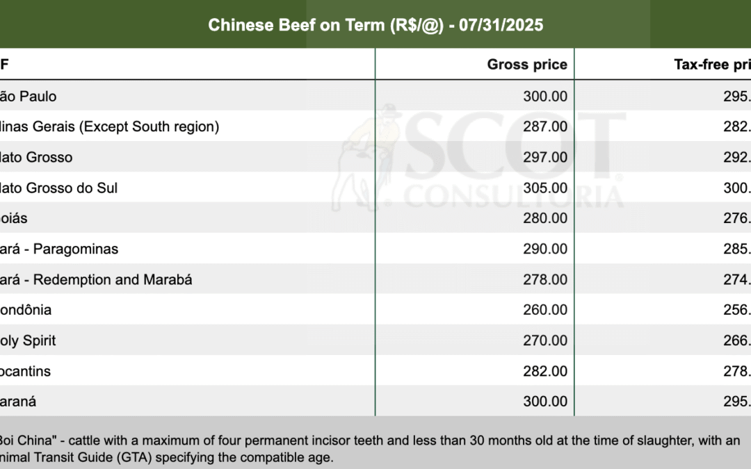 “The Profit Disappeared”: Inside Brazil’s Meat-for-Gadgets Cartel Trump Just Cracked