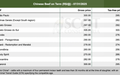 “The Profit Disappeared”: Inside Brazil’s Meat-for-Gadgets Cartel Trump Just Cracked