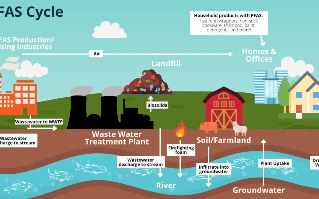You’ve Been Eating PFAS: Biosolids, Beef, and the Deep State’s Dirty War on Agriculture
