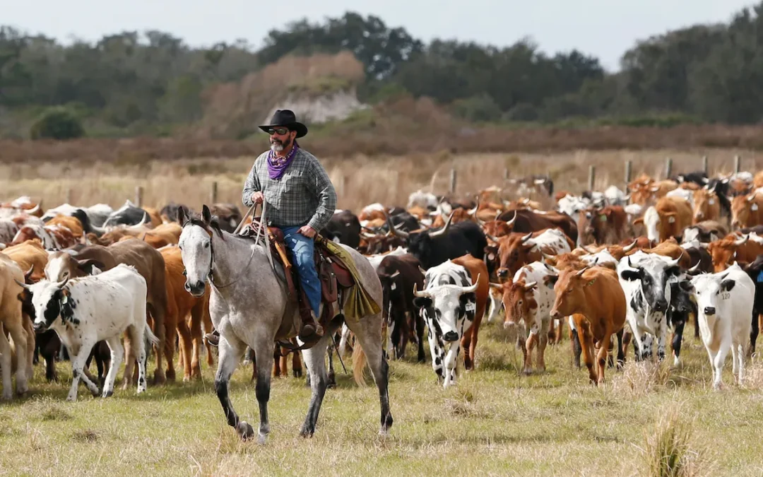 The $125 Trillion Cow Cull: How Biden’s “Natural Capital” Agenda Turned America’s Rangeland Into Balance-Sheet Assets