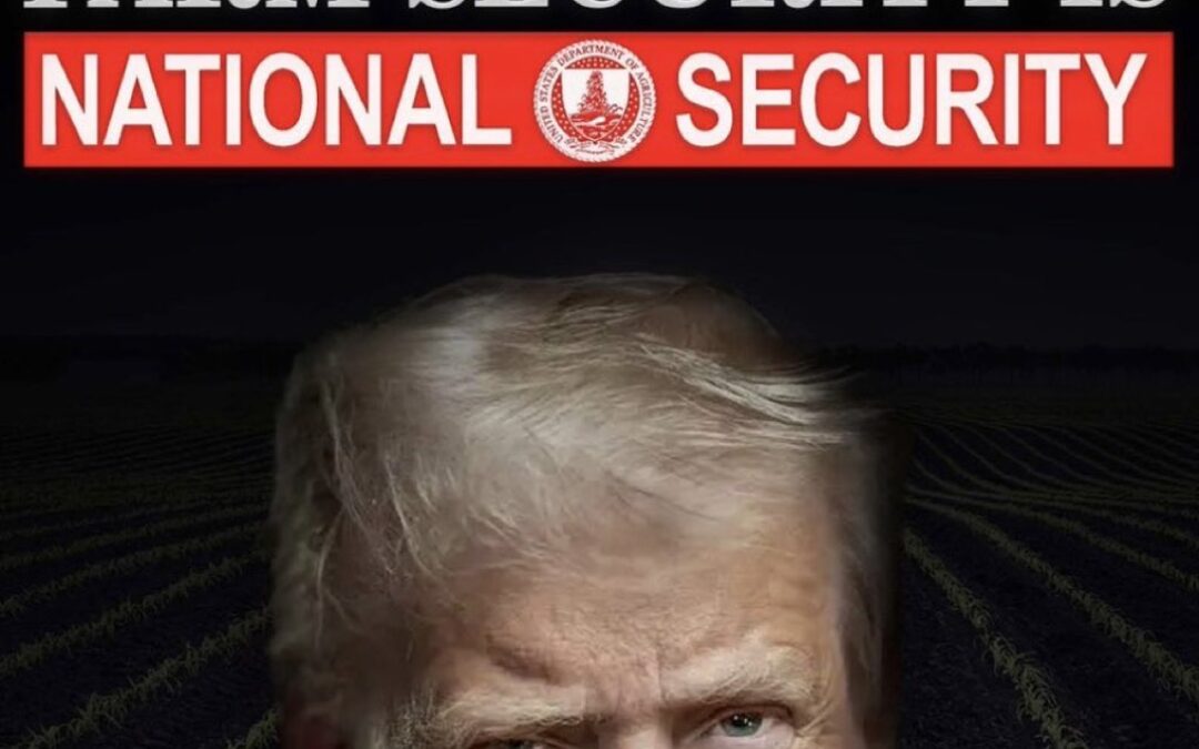 In 2000, USDA Sided With Packers. Now Trump’s Probe Has Blown the Lid Off.