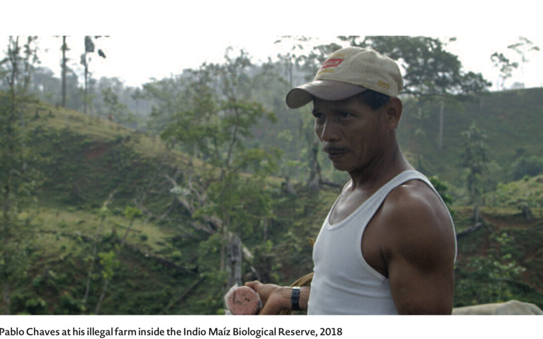 Branded in the Rainforest: How Conflict Beef from Nicaragua Infiltrates U.S. Grocery Chains