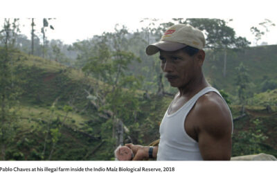 Branded in the Rainforest: How Conflict Beef from Nicaragua Infiltrates U.S. Grocery Chains