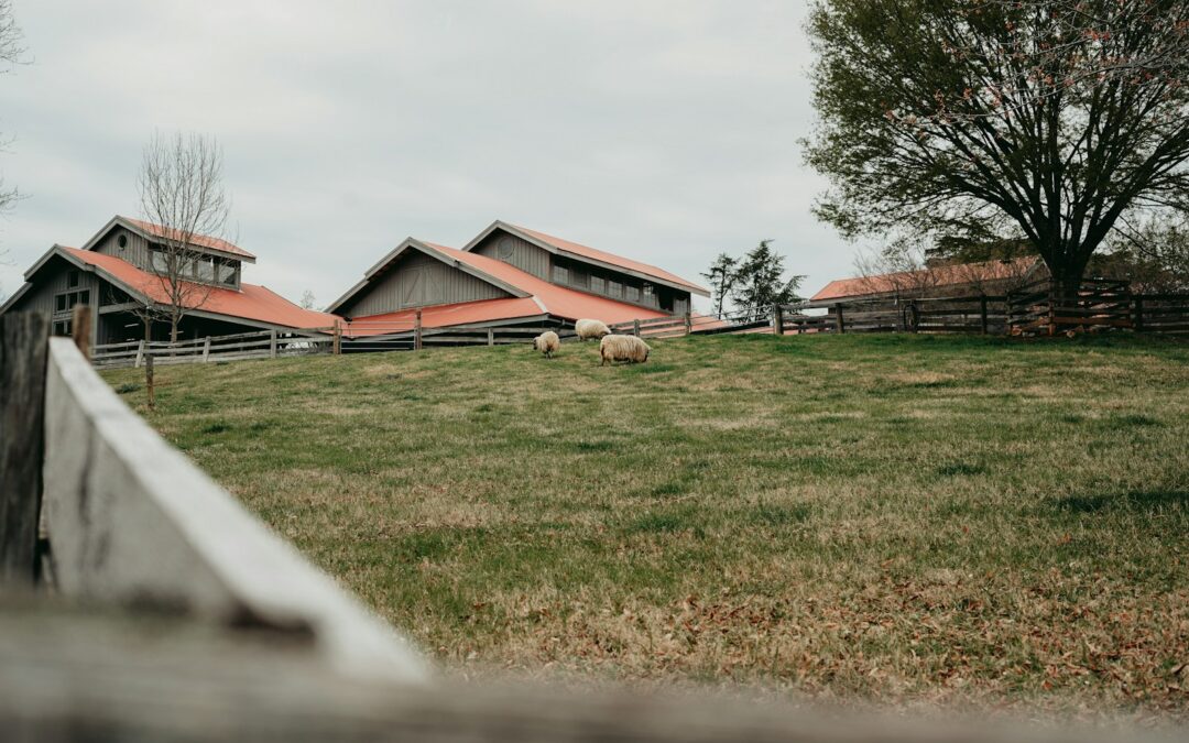 The Herd Won’t Grow on Hope: Regenerative Policy Needs Rancher-Directed Capital to Work