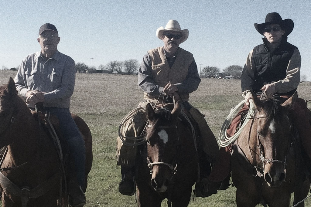 Chapman 3C Cattle Company